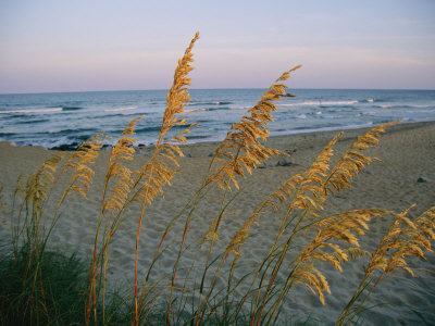 the Chesapeake Bay