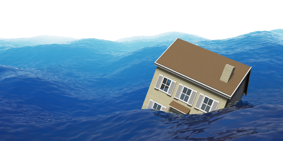Other Real Estate Listings