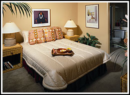 Staged Bedroom