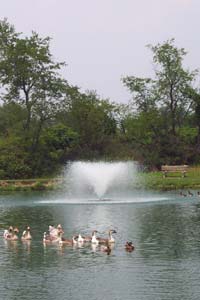 Park in Penn Township