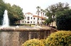 McNay