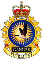 9 Wing Gander