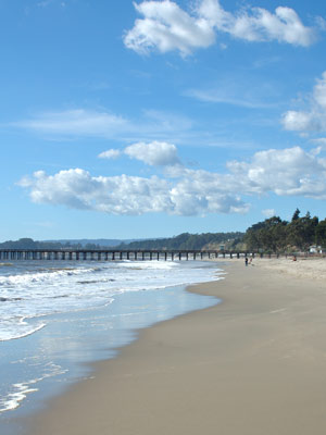 Ocean Front Homes in Santa Cruz