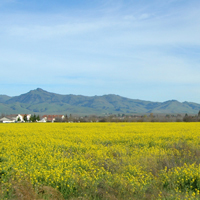 Watsonville Land and Views