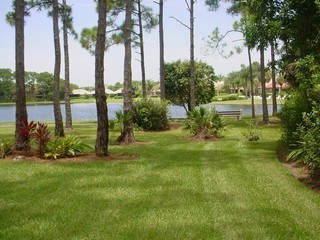 Natural Settings on Lake