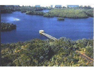Lake with Fishing Pier