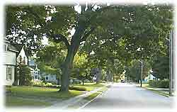 Borland St. in summer