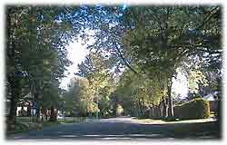 Maple Drive, Orillia