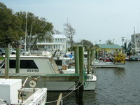 Yacht Basin Area
