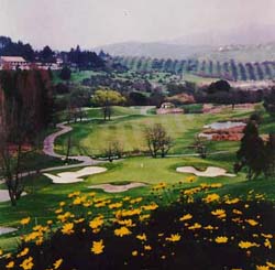 Scenic Moraga