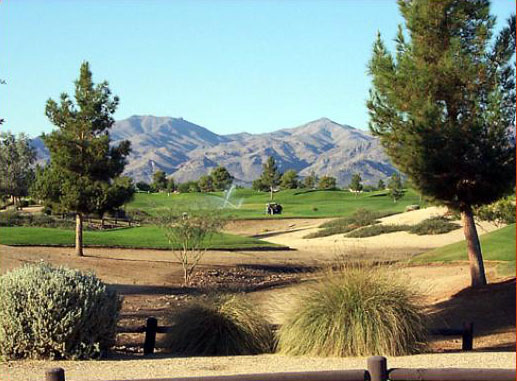 Arizona Traditions in Surprise Arizona