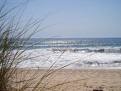 Galveston Beach