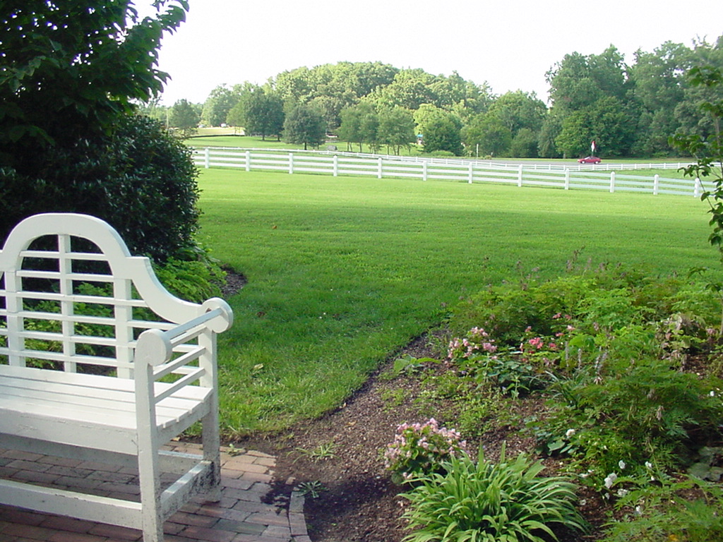 Luscious Fields in Fearrington