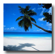 Hawaii Beaches Kailua Kona