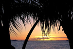 Maui Homebuyer information