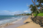 Maui Home Seller information