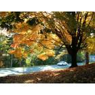 fall