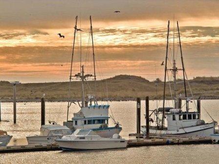 Gpld Beach Oregon