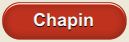 Chapin Home Search