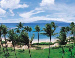 Coconut Grove, Kapalua Bay