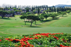 Golf Villas at Kapalua