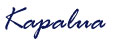 Kapalua Real Estate Home Page 