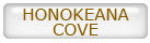 Click for Honokeana Cove MLS Market Summary
