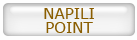 Click for Napili Point MLS Market Summary