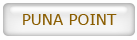 Click for Napili Kai MLS Market Summary