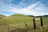 The rolling green hills of the Central Coast