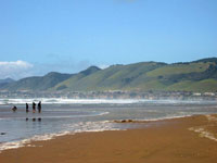Central Coast beaches