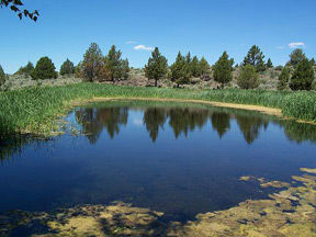 Spanish Springs