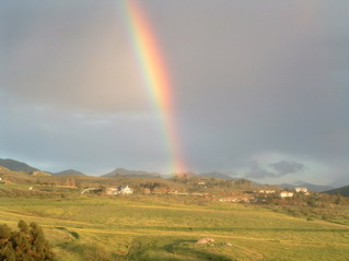 Jamul Panorama