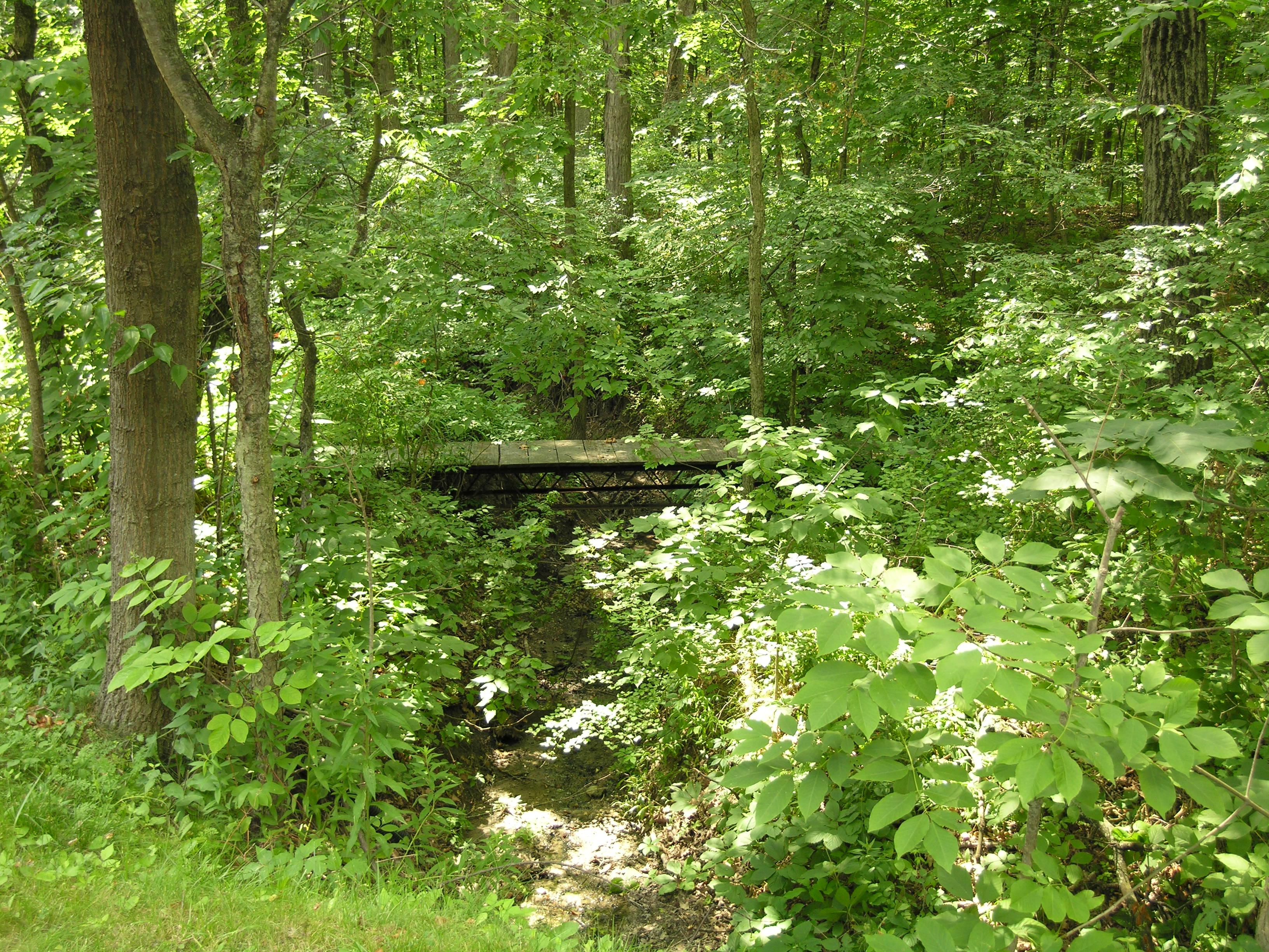BACKS UP TO FOREST PRESERVE