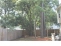 Nice back yard with privacy fence no image