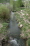 Stream through back yard no image