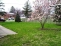Large Yard no image