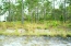 Lot 21 Dunlin no image