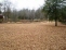 Backyard no image