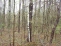 Property.view_front no image