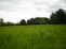 Land no image