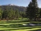 golf course no image