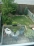 Backyard no image