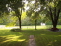 Backyard no image