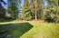 Backyard no image