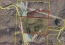 Aerial no image