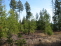 www.FreeHomeValuesInSpokane.com no image