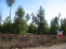 www.FreeHomeValuesInSpokane.com no image