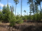 www.FreeHomeValuesInSpokane.com no image