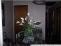 Property.view_front no image